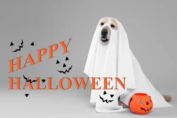 Happy Halloween from Wardley Lending, LLC